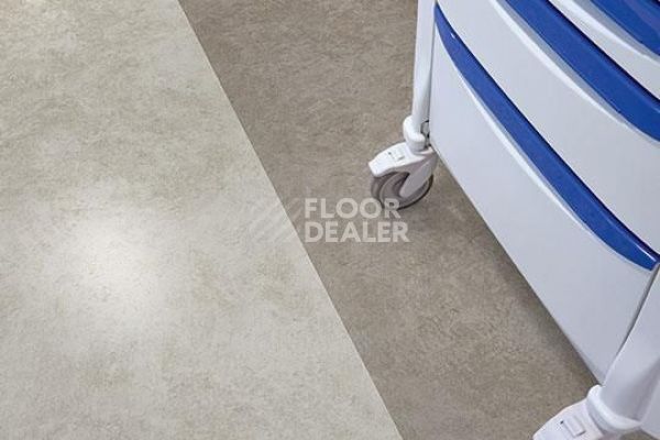 Линолеум Forbo Eternal Material 10042 graphite stucco фото 1 | FLOORDEALER